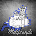 VE-Pumpun huolto/VE Pump service